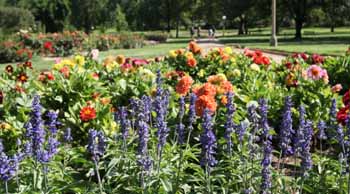 Wagga Wagga Botanic Gardens
